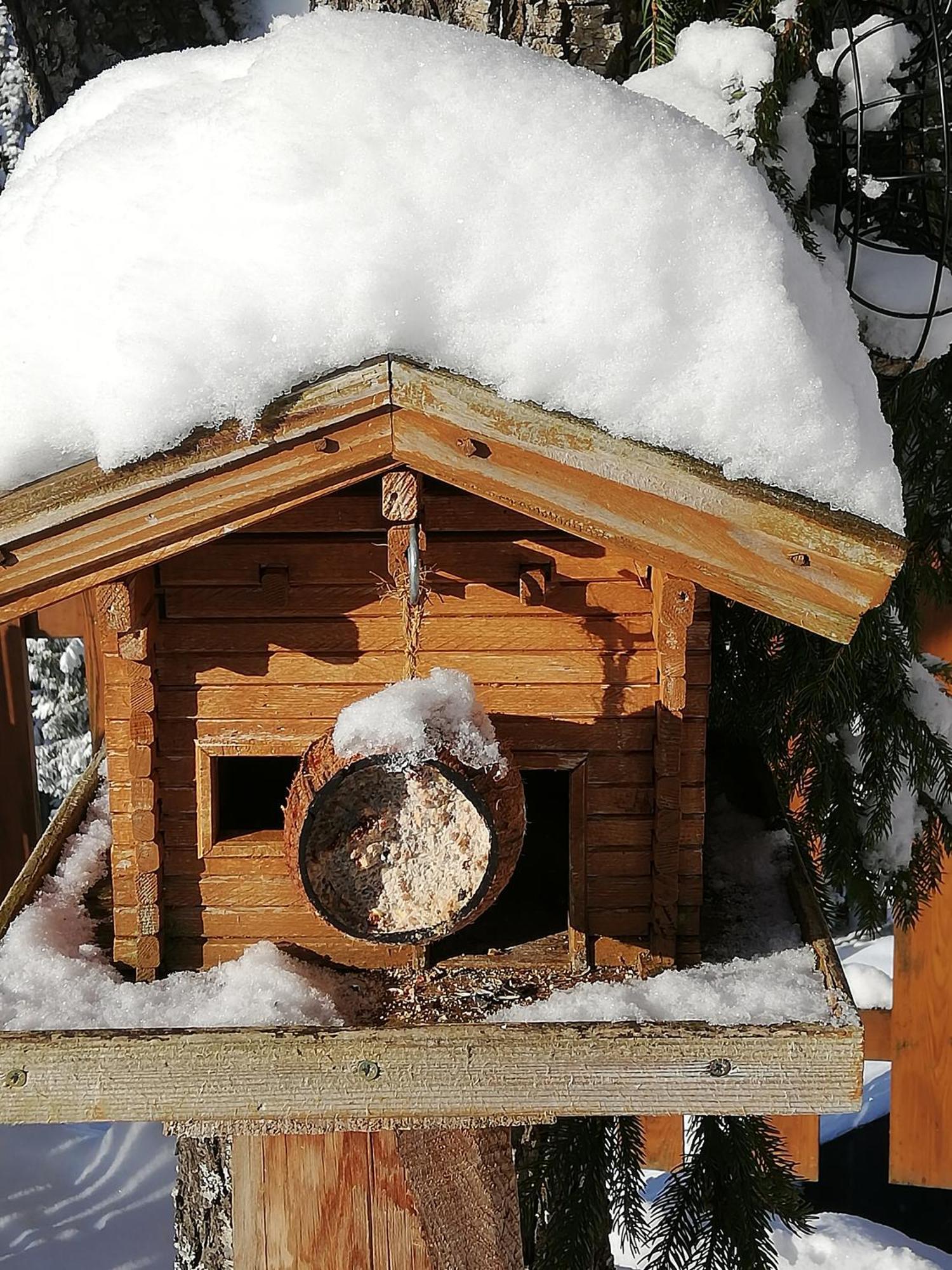 Bauernhof Bachgut Farm stay