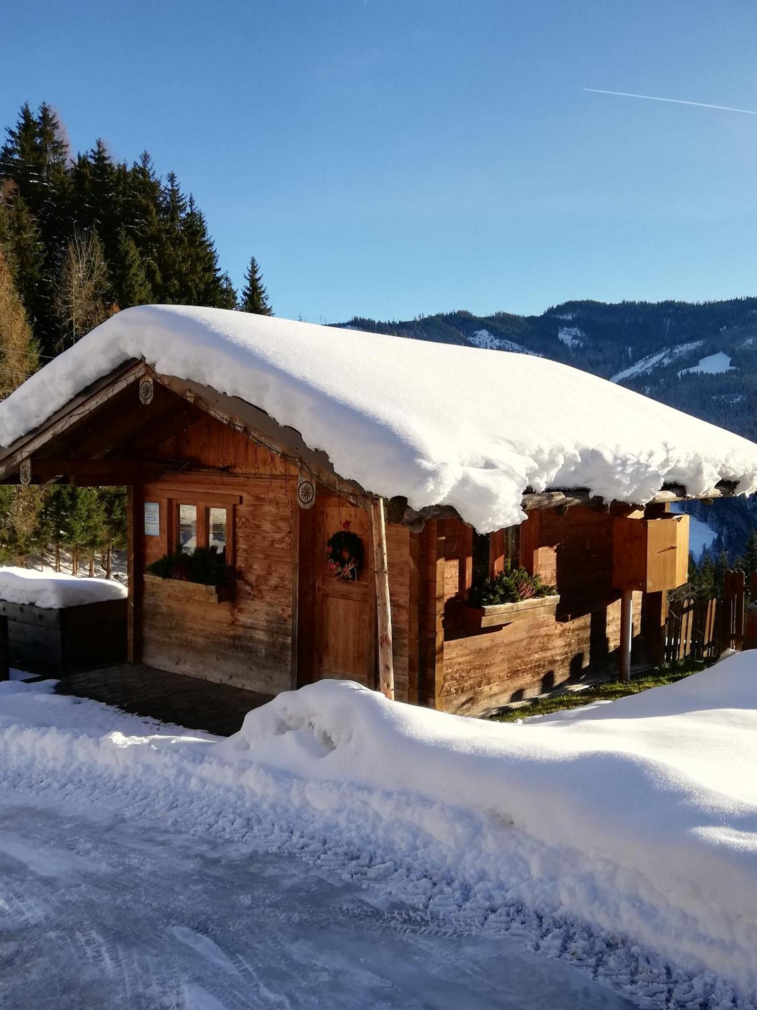 Bauernhof Bachgut Farm stay *